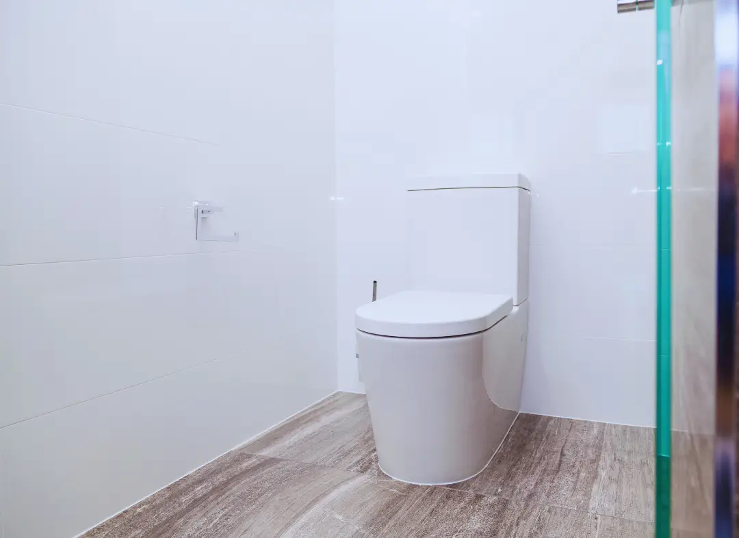 Remplacement de wc Castelginest